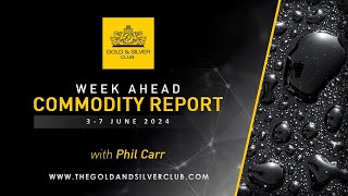 WEEK AHEAD COMMODITY REPORT Gold Silver amp Crude Oil Price Forecast 3  7 June 2024 [upl. by Oberg]