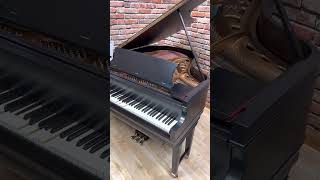 1922 Chickering amp Sons Reproducing Grand Piano Ampico Model A [upl. by Nywroc]