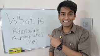 Learn What is Adenosine Monophosphate AMP   AMP  The Energy and Signal Messenger  in Biology [upl. by Hance]