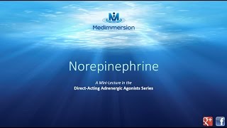 Norepinephrine [upl. by Htehpaj]