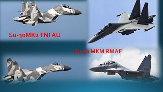 Su30MK2 VS SU30MKM  The Comparison [upl. by Odom]