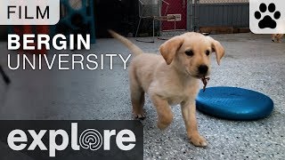 Bergin University of Canine Studies  Film [upl. by Dirraj]