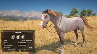 All 5 Rare Arabian Horse Location amp Rankings  RDR2 [upl. by Prisca]