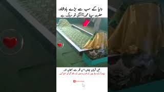 Prophet Muhammads SAW Grave♥  Kia Ya Sach much Nabiﷺ k qabar ha🤔 islamic islam اسلام اسلامی [upl. by Autum]