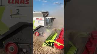 Zwei Claas Lexion 8900 mit Convio Schneidwerk farming germany farmers farmlife harvest claas [upl. by Richma]