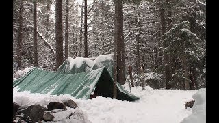 Winter Camping  Tarp Shelter  1st winter Overnight in a Tarp [upl. by Lexa]