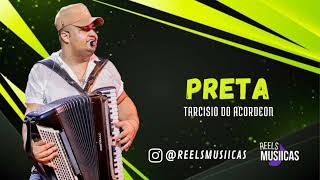 Tarcisio do Acordeon  PRETA Repertório novo [upl. by Down]