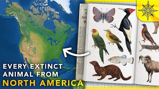 Mapping Every Extinct Animal From North America [upl. by Okiron]