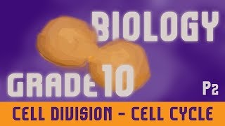 The Cell  Cell Division  Cell Cycle  Phases Of Cell Cycle G1 phase S phase amp G2 phase  Part 2 [upl. by Yojal]