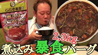 【大食い】ココイチ監修！23kg煮込みハンバーグを激食らう！！ [upl. by Pratt]