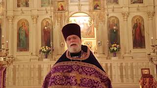 Orthodox Sermon  What it means to be Orthodox [upl. by Meredithe]