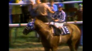 Secretariat at Arlington Park 1973 [upl. by Novit632]