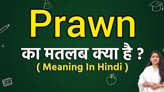 Prawn meaning in hindi  Prawn ka matlab kya hota hai  Word meaning [upl. by Carrillo]