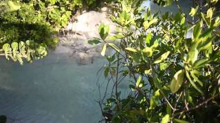 vlog 304  Good Life in Renaissance hotel amp island Oranjestad Aruba July 2011 [upl. by Rourke]