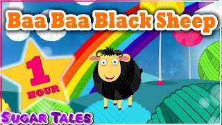 BAA BAA BLACK SHEEP 1hr compilation [upl. by Kcirdnekal573]