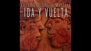 Arpatlán Gerardo Tamez Ensamble musical de tierra mestiza ida y vuelta [upl. by Marylin]