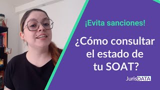 ¿Cómo consultar la vigencia de tu SOAT en el RUNT Sigue este paso a paso [upl. by Chema973]