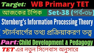 Sternbergs Intelligence theory  Information Processing theory of Intelligence  পর্ব৩৮ [upl. by Gean473]