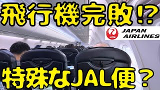 【新幹線圧勝？】知ってる？JAL便なのにJAL運航ではない特殊な国内線を利用したら東京→岡山 [upl. by Pacian]