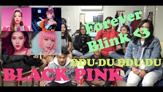 DIVERSITY Blackpink  뚜두뚜두 DDUDU DDUDU Reaction Video  SPECIAL GUEST DOGGO [upl. by Ramgad]