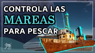 🌊 QUÉ es la TABLA DE MAREAS y CÓMO tiene que ESTAR la MAREA para PESCAR MÁS ❓ [upl. by Gorlin]