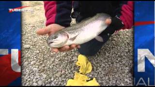 Italian Fishing TV  Tubertini  Tecniche di pesca  Trota Lago [upl. by Thesda]