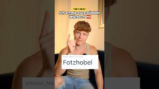 Ich errate eure Dialekt Wörter 🇦🇹⚠️ FOTZHOBEL [upl. by Evelina388]