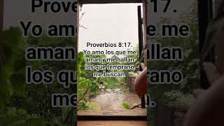 Proverbios 817proverbios817 jesus versiculobiblico biblia [upl. by Bahe]