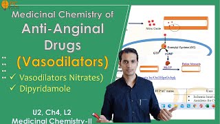 Antianginal Drugs Medicinal Chemistry Part 2 Vasodilators Nitrates And Dipyridamole [upl. by Darsie]