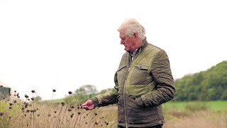 Piet Oudoulf in Oudolf Field Hauser amp Wirth Somerset [upl. by Enylecoj]