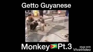 Getto Guyanese Monkey  Trey Sancho voice over [upl. by Zollie909]