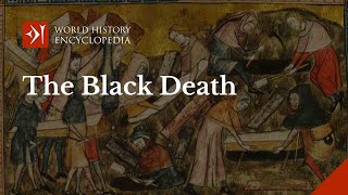 The Black Death of Medieval Europe and Their Cures [upl. by Yrrum810]