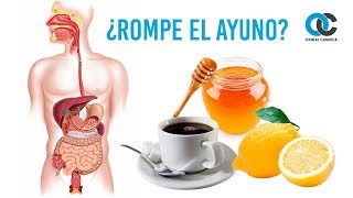 ¿Qué alimentos rompen el ayuno [upl. by Anneirb569]