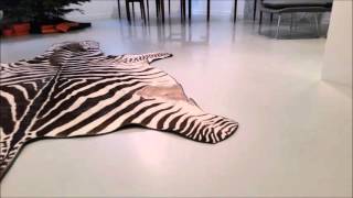 Resin flooring Epoxy and polyurethane resin floor systems UK [upl. by Nnyleahs]