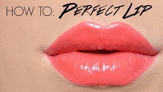 How To Perfect Lip Application [upl. by Saretta]