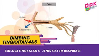 Bimbing Tingkatan 4 amp 5  Biologi Tingkatan 4  Jenis Sistem Respirasi [upl. by Claudio]