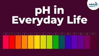 pH in Everyday Life  Acid Bases and Salts  Dont Memorise [upl. by Yrian]