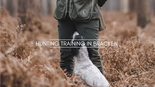 Spaniel hunting training in Bracken with Stormie [upl. by Arinayed998]