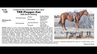 Pitzer Ranch Spring Sale 2024 Lot 130 TRR PLAYGUN ZAN [upl. by Trimmer]