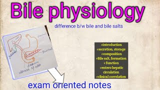 Bile bile salts physiology function secretion [upl. by Anit]