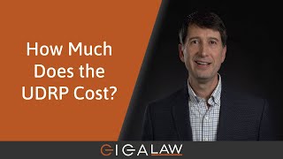 Domain Dispute Masterclass 4 How much does the UDRP cost [upl. by Nbi206]