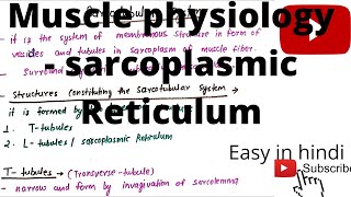 Sarcotubular system sarcoplasmic Reticulum ttubules or Ltubules [upl. by Eeluj662]