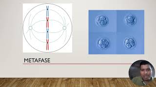 Mitosis para practica docente [upl. by Anirtap]