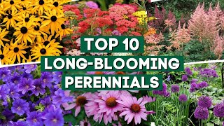 10 Long Blooming Perennials for a Colorful Garden 👌🌿💚  PlantDo Home amp Garden 🍃 [upl. by Lanti]