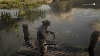 Red Dead Redemption 2  Legendary Redfin Pickerel at Stillwater Creek [upl. by Brookes]