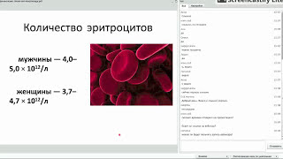 Вебинар «Морфология клеток крови» [upl. by Dnanidref754]