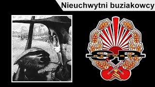 STRACHY NA LACHY  Nieuchwytni buziakowcy OFFICIAL AUDIO [upl. by Aibun]