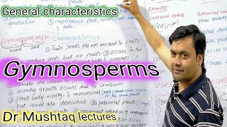 Gymnosperms Characteristics  Dr Mushtaq lectures  Class 11 [upl. by Lennad330]