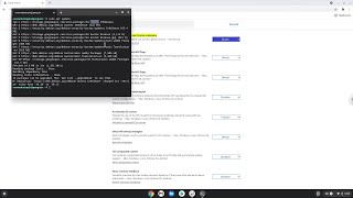 How to change the Debian version for Crostini on a Chromebook [upl. by Oiragelo]