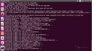 How to install Freefilesync in Ubuntu [upl. by Cassy759]